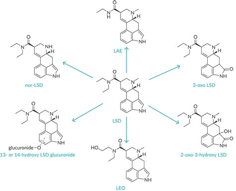 Lysergic Acid An Overview ScienceDirect Topics, 57% OFF