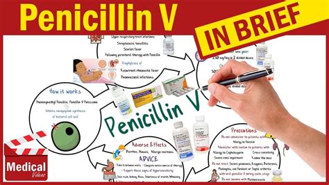 Penicillin V ( Pen Vee K ): What is Penicillin Used For, Dosage, Side ...