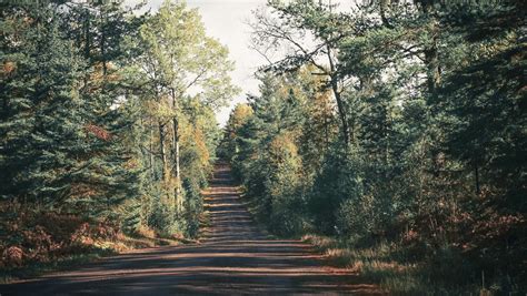 TN Tree Farm — Tennessee Forestry Association