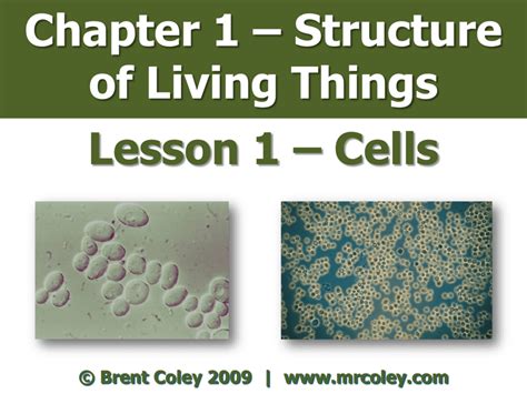 Chapter 1 – Structure of Living Things