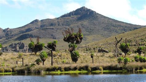 Mount Elgon National Park | Hiking Mount Elgon