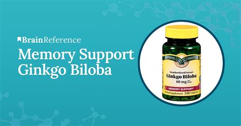 Memory Support Ginkgo Biloba Review – Is it Effective?