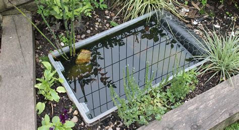 Make a Pond from a Plastic Storage Box | Blog | Solent Plastics