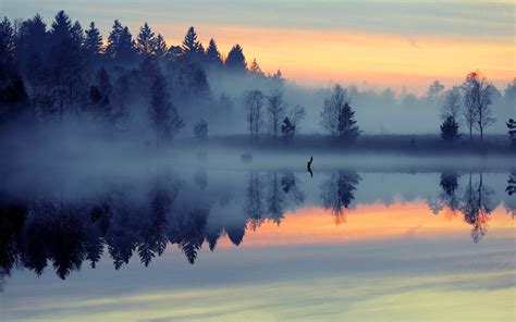 nature, Landscape, Mist, Sunrise, Lake, Forest, Reflection, Blue, Trees ...