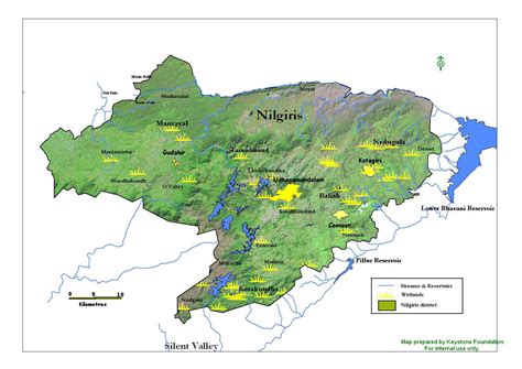 Nilgiri Natural History Society » Hill wetlands of the Nilgiris district