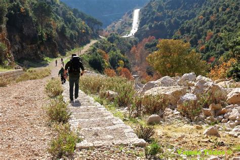 A shared nature experience in Lebanon - The Switchers