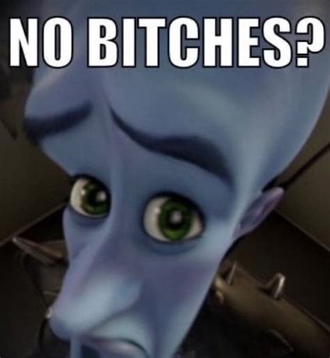 no bitches megamind Memes - Imgflip