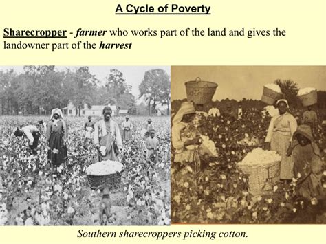 Sharecropping and Jim Crow Laws