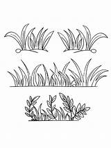 Yard Grass Coloring Pages sketch template