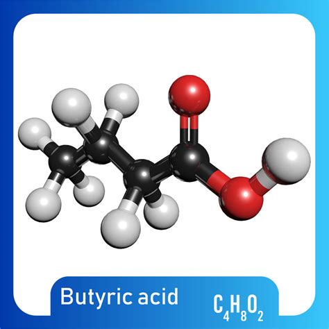 Butyric acid 3D Model C4H8O2 3D model | CGTrader