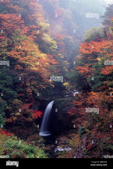 Autumn Leaves And Waterfall Stock Photo - Alamy