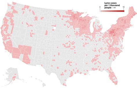 Lyme Disease By State Map