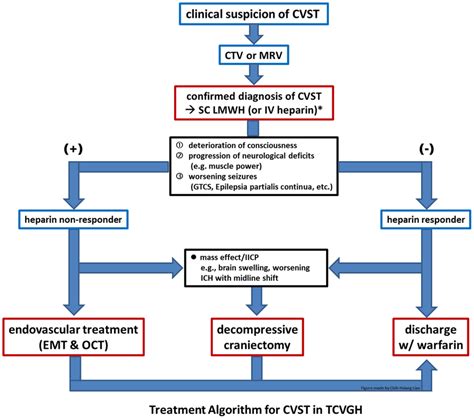 Treatment algorithm of CVST patients in the authors' institute. Heparin... | Download Scientific ...