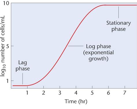 exponential_growth.html 06_01-exponential_growth.jpg