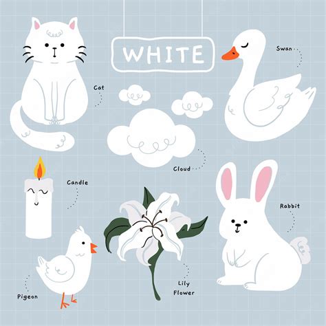 Free Vector | Color white and vocabulary set in english