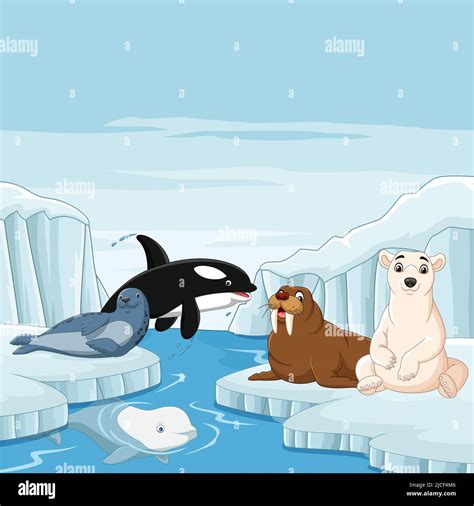 Cartoon arctic animals in arctic scenery background Stock Vector Image & Art - Alamy