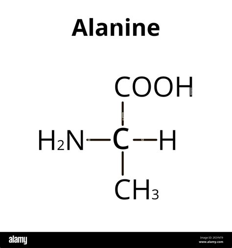 Alanine is an amino acid. Chemical molecular formula Alanine amino acid ...