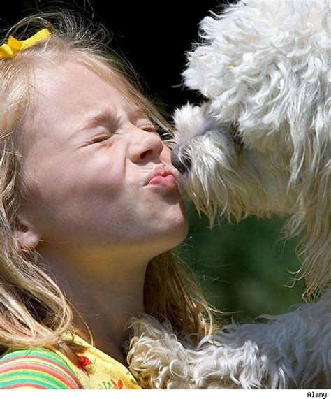 Kissing Dogs Is Unhealthy, Especially For Kids - PawNation | Kinder, Tiere