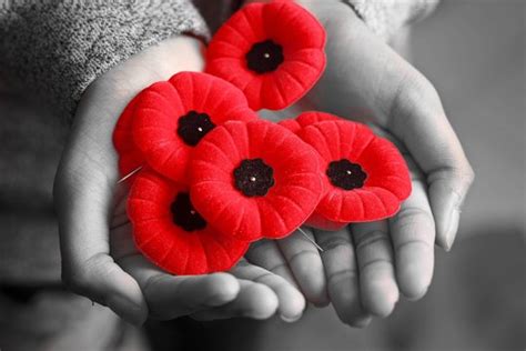 "Remembrance Day" Images – Browse 9,205 Stock Photos, Vectors, and ...