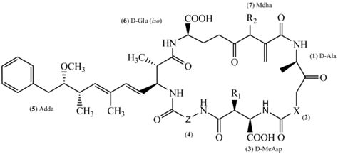 Toxins | Free Full-Text | Microcystin-LR in Primary Liver Cancers: An ...