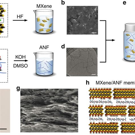 Fabrication of the MXene/nanofiber composite membrane. a The MXene is ...