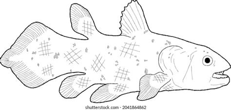 227 Coelacanth fish Images, Stock Photos & Vectors | Shutterstock