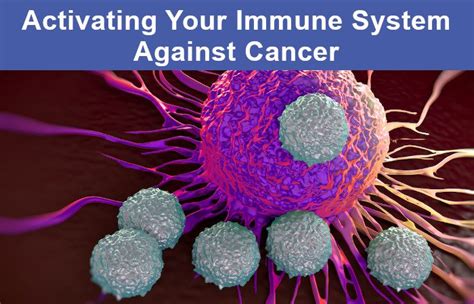 How does the immune system help in cancer and its treatment?