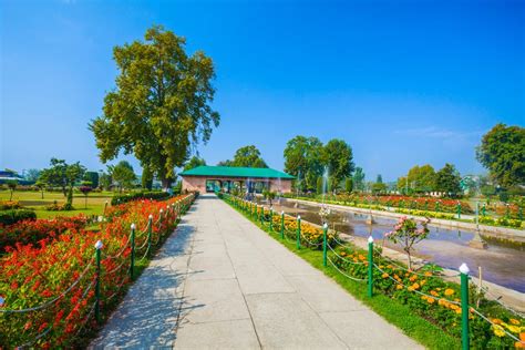 Indira Gandhi Memorial Tulip Garden Srinagar, India - Location, Facts ...