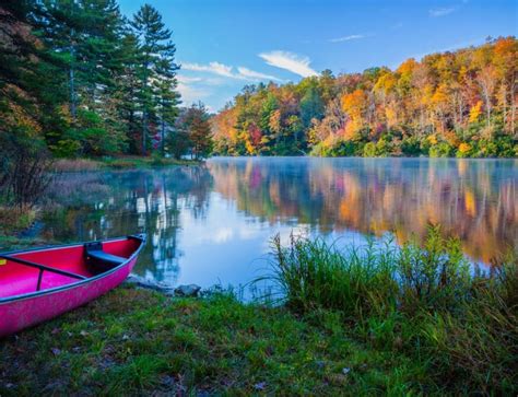 Broken Bow ATV Trails: Ouachita National Forest | Blue Beaver Cabins