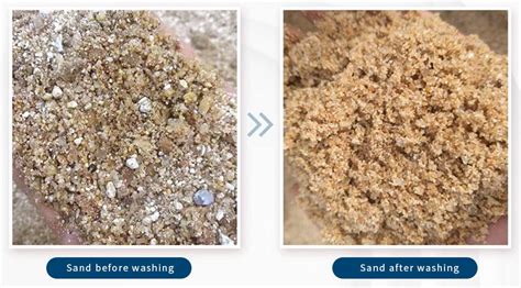 5 Key Points of Sand Washing Machine Selection | DASWELL