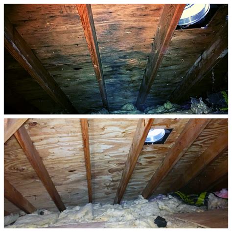 Attic Mold Inspection and Removal Lombard, IL, Manhattan, IL