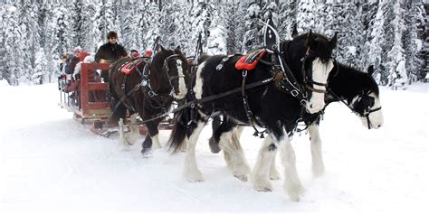 Sleigh Rides | Big White Ski Resort