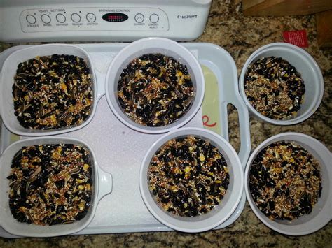 Tales From The Lowe Chateau: Homemade bird seed cakes!