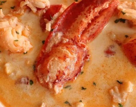 Maine Lobster Stew - HealthyCareSite