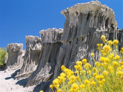 The Tufa Towers of Mono Lake ~ Kuriositas