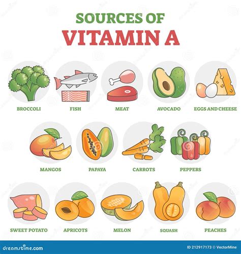 Sources of Vitamin a As Healthy Nutrition Food Examples in Outline ...