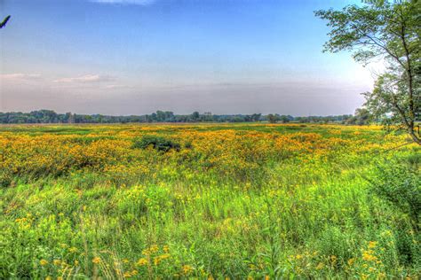 Another Prairie Landscape at Chain O Lakes State Park, Illinois image - Free stock photo ...