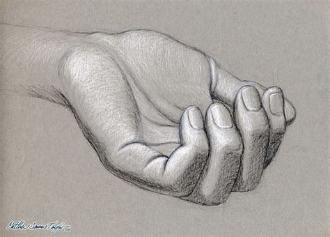 Tonal hand study: Black and white charcoal rendered drawing - Matthew ...