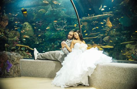 Wedding Photography Virginia Beach Aquarium Couple Wedding Aquarium ...