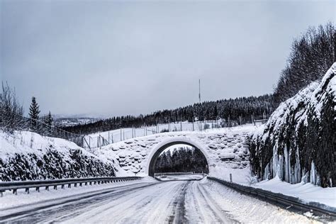 Visiting Arctic - Senja in the winter | WannaBeEverywhere