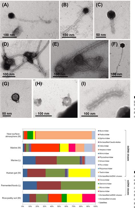 Figure 3 from Comparative Viral Metagenomics of Environmental Samples ...