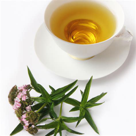 White Tea and Verbena Fragrance Oil