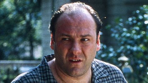 25 Best Sopranos Episodes Ranked