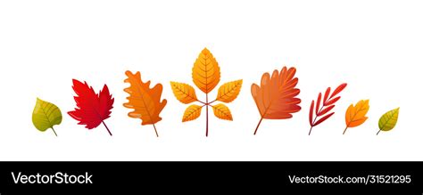 Set bright colorful autumn fall leaves Royalty Free Vector