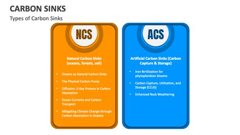 Carbon Sinks PowerPoint and Google Slides Template - PPT Slides