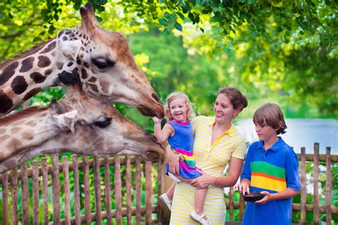 10 Most Popular Zoos in UK by number of visitors