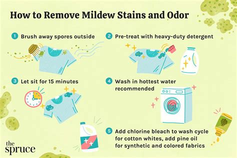 How To Get Mold Stains Out Of Fabric Sale Online | fast-lisa.unibo.it