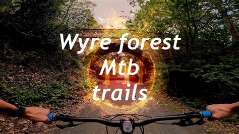 Wyre forest mtb trails - YouTube