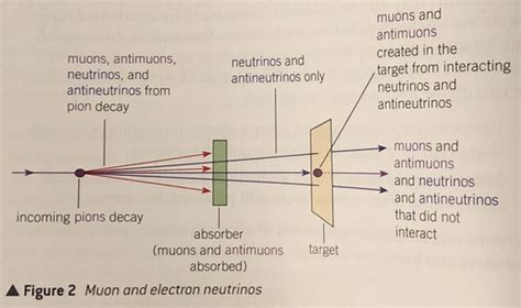 2.2 Quarks and Leptons Flashcards | Quizlet