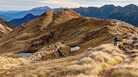 Kepler Track: Fiordland National Park, Fiordland region